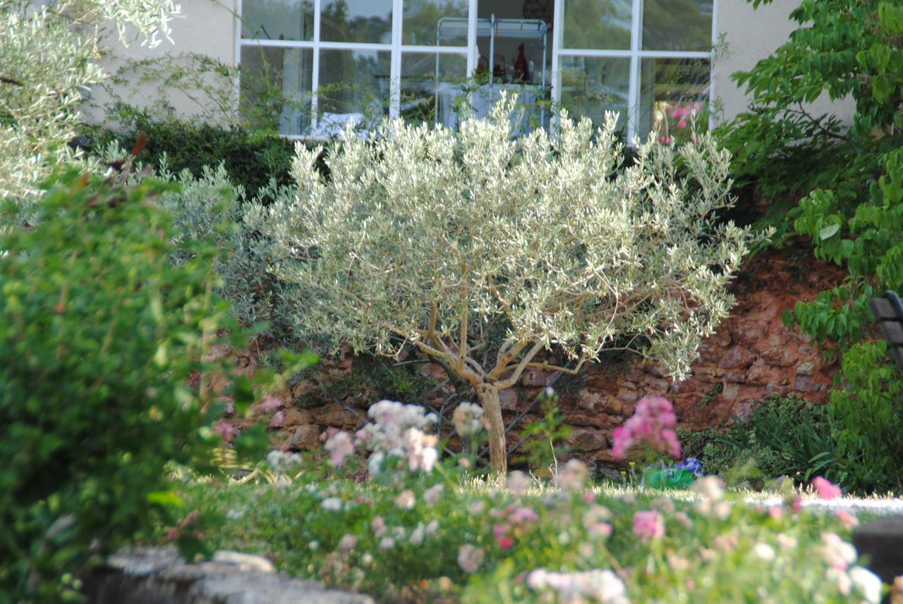 B&B La Badelle Gordes Luaran gambar